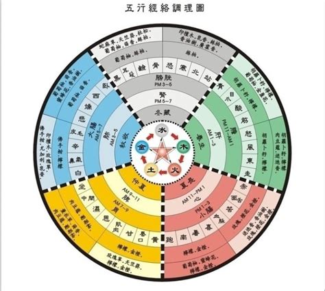 五術是什麼|道教的五術是什麼？ 這些術法在道脈靈修中，分別代表什麼？ 又。